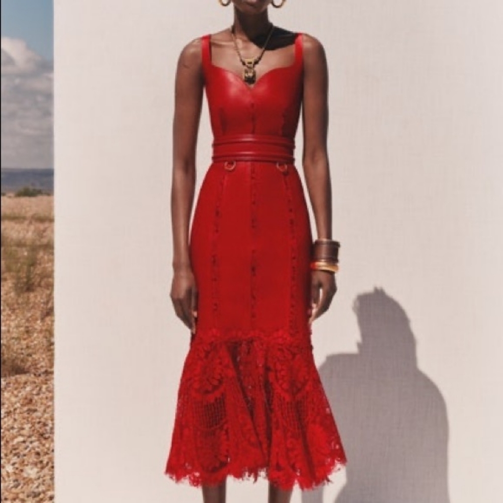Alexander McQueen red leather dress.